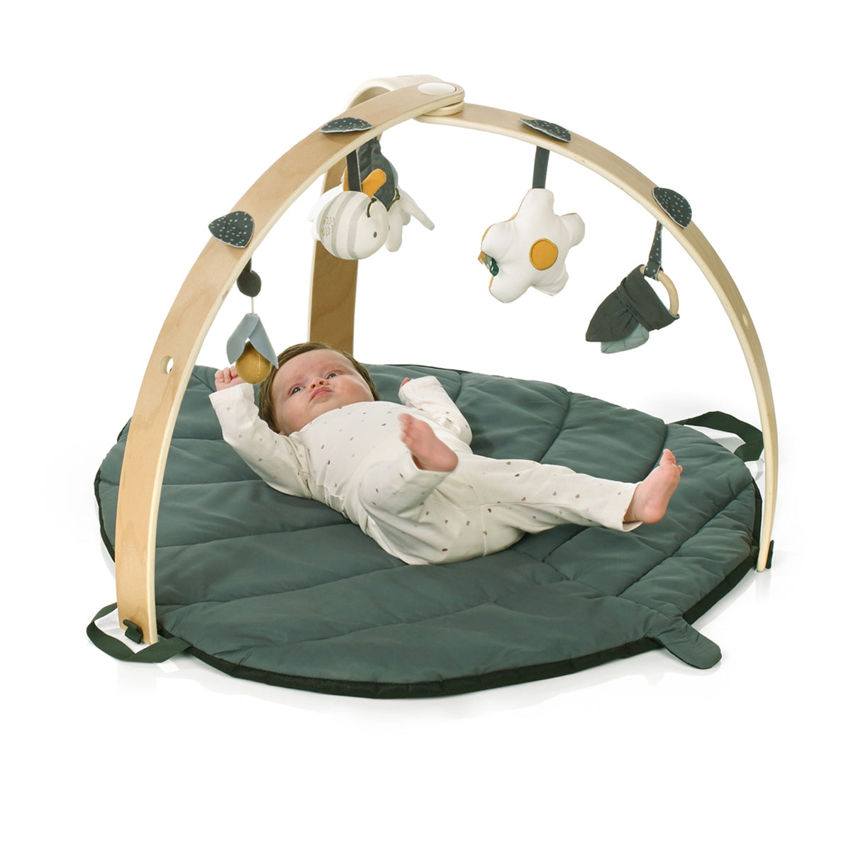 Baby play mat with activity gym