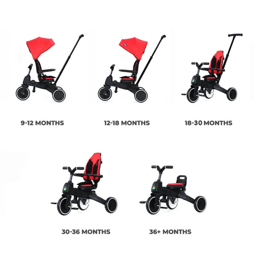 Baby tricycle with reversible seat